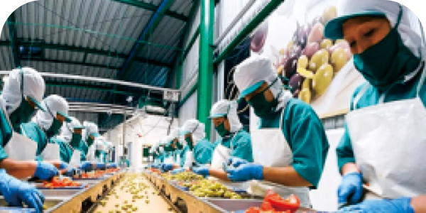 Food Processing／食品加工